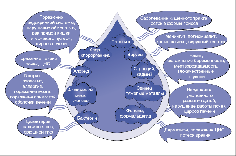 Сахар и жирные продукты